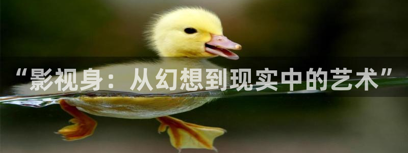樱花草动漫飘雪影院：“影视身：从幻想到现实中的艺术”