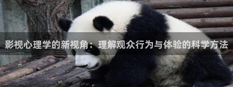 飘雪影院手机免费版在线看：影视心理学的新视角：理解观众行为与体验的科学方法
