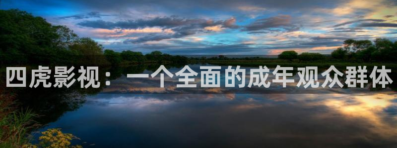 飘雪影院免费观看电视剧高清：四虎影视：一个全面的成年观众群体