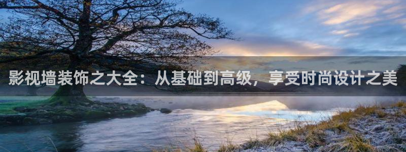 飘雪影院在线观看完整版动漫免费：影视墙装饰之大全：从基础到高级，享受时尚设计之美