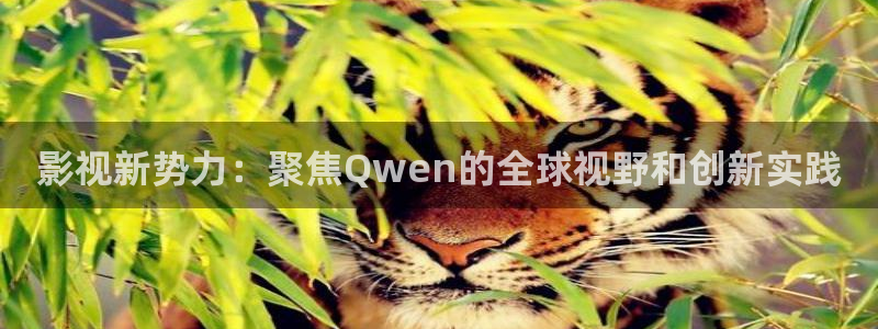 飘雪影院手机在线2019：影视新势力：聚焦Qwen的全球视野和创新实践
