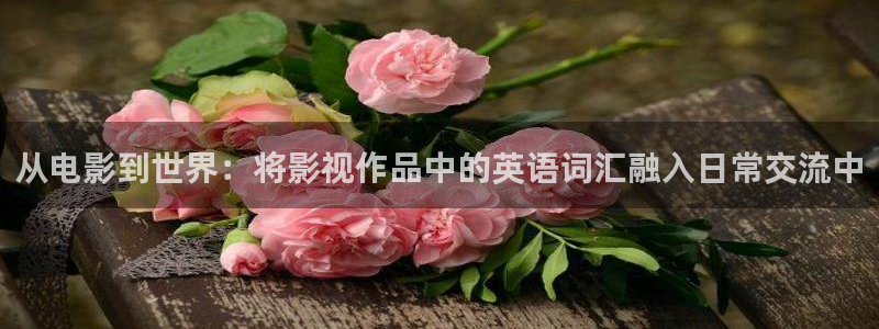 飘雪影院观看：从电影到世界：将影视作品中的英语词汇融入日常交流中