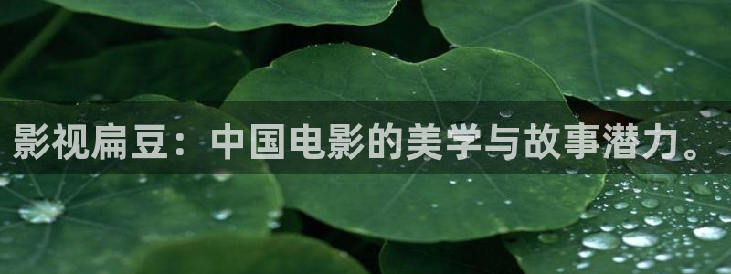 飘雪影院高清完整版在线观看免费：影视扁豆：中国电影的美学与故事潜力。
