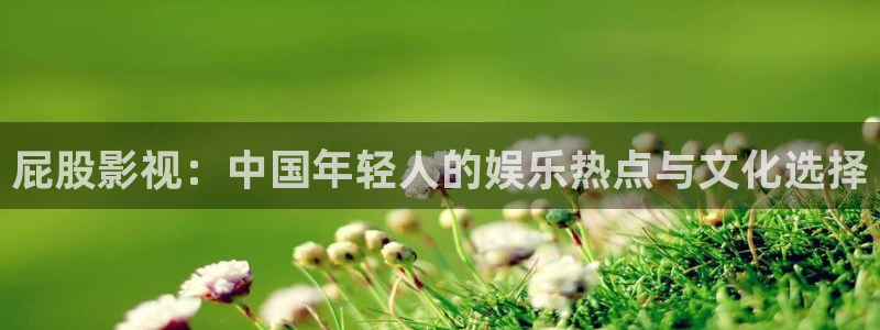 飘雪影院看电影在线观看：屁股影视：中国年轻人的娱乐热点与文化选择