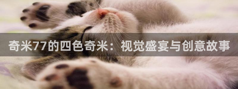 飘雪影院正版免费观看：奇米77的四色奇米：视觉盛宴与创意故事