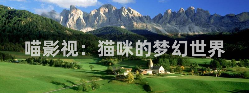 飘雪影院在线观看高清电影免费播放：喵影视：猫咪的梦幻世界
