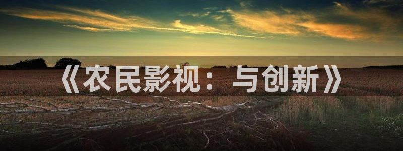 飘雪影院在线播放：《农民影视：与创新》
